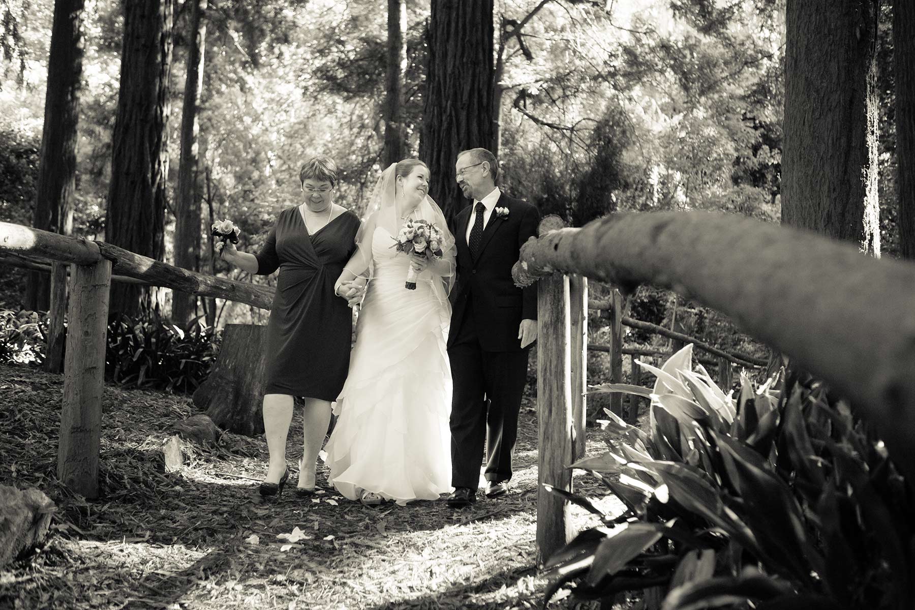 wedding photojournalism at Stern Grove, San Francisco